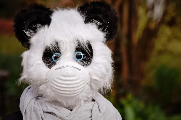 NoxWin Casino Podrška